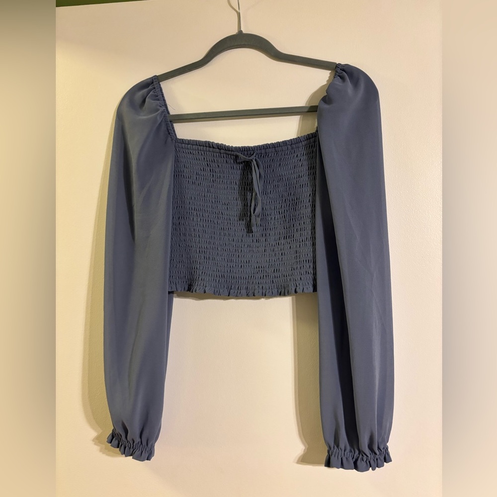 Aritzia Wilfred Sheer Long Sleeve Top